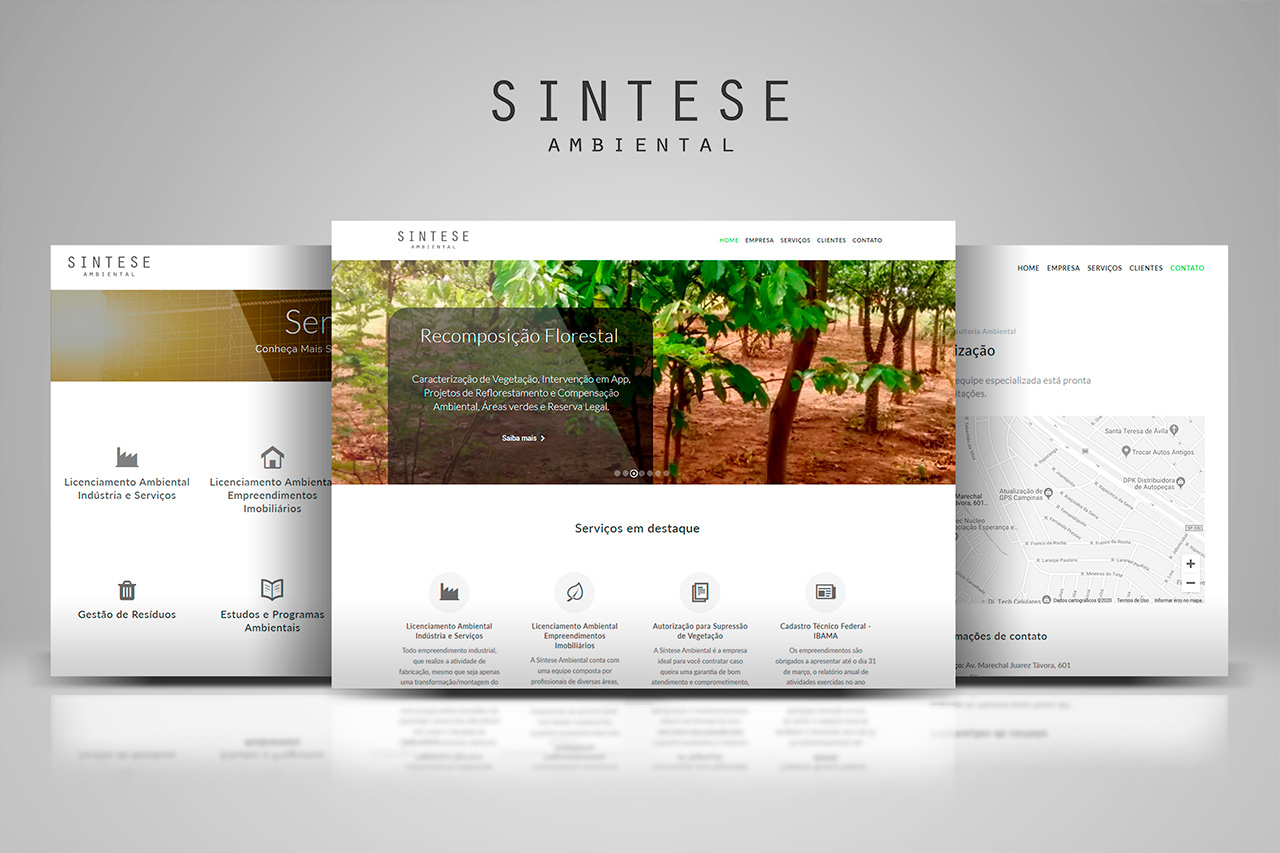 Website Sintese Ambiental - Luciano Ridolfi